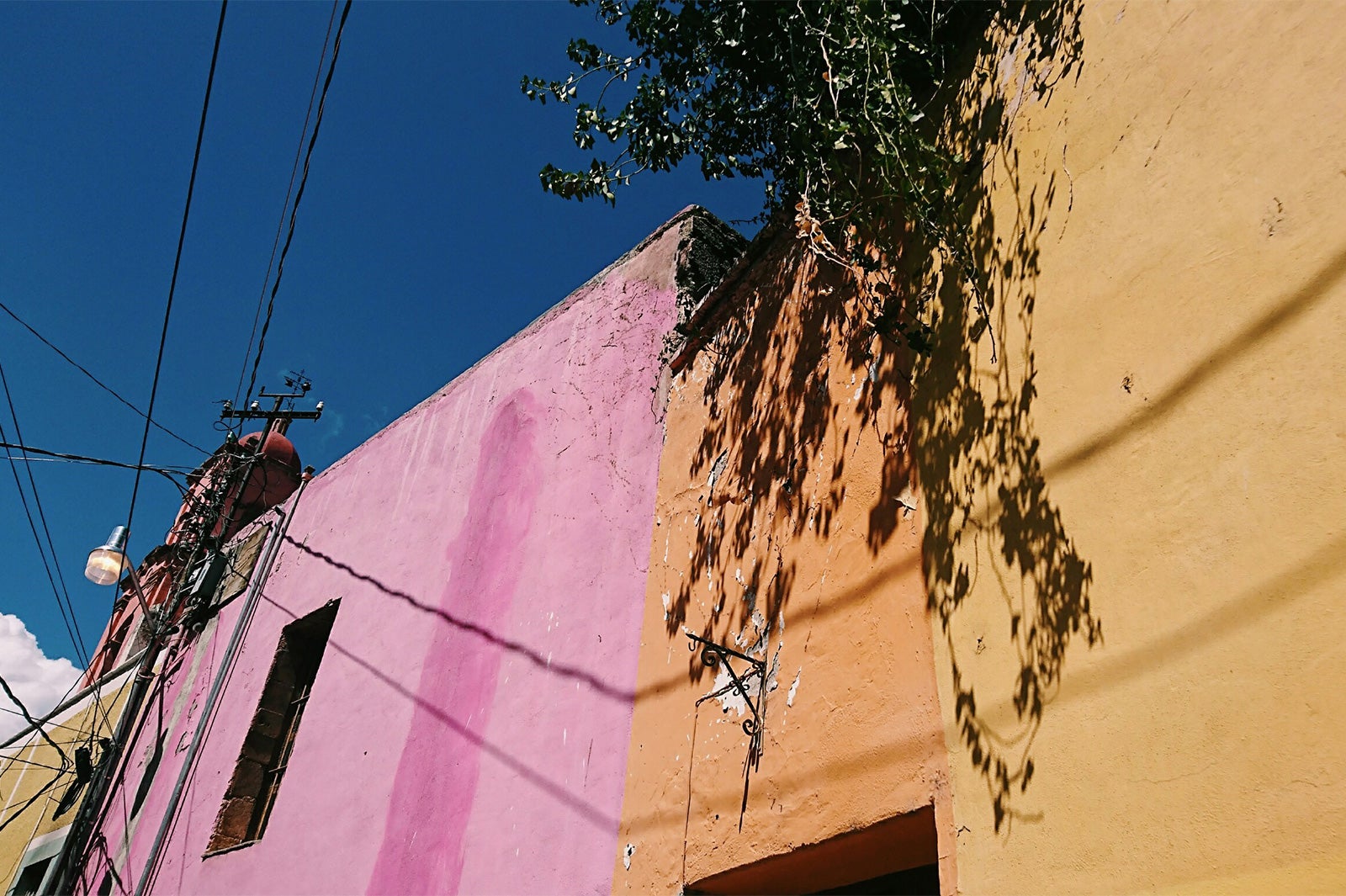 画像提供：所属事務所