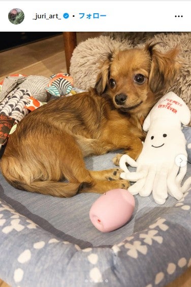 上野樹里 Instagramより