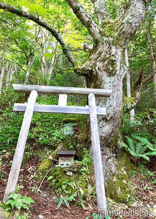 山ノ神（C）モデルプレス