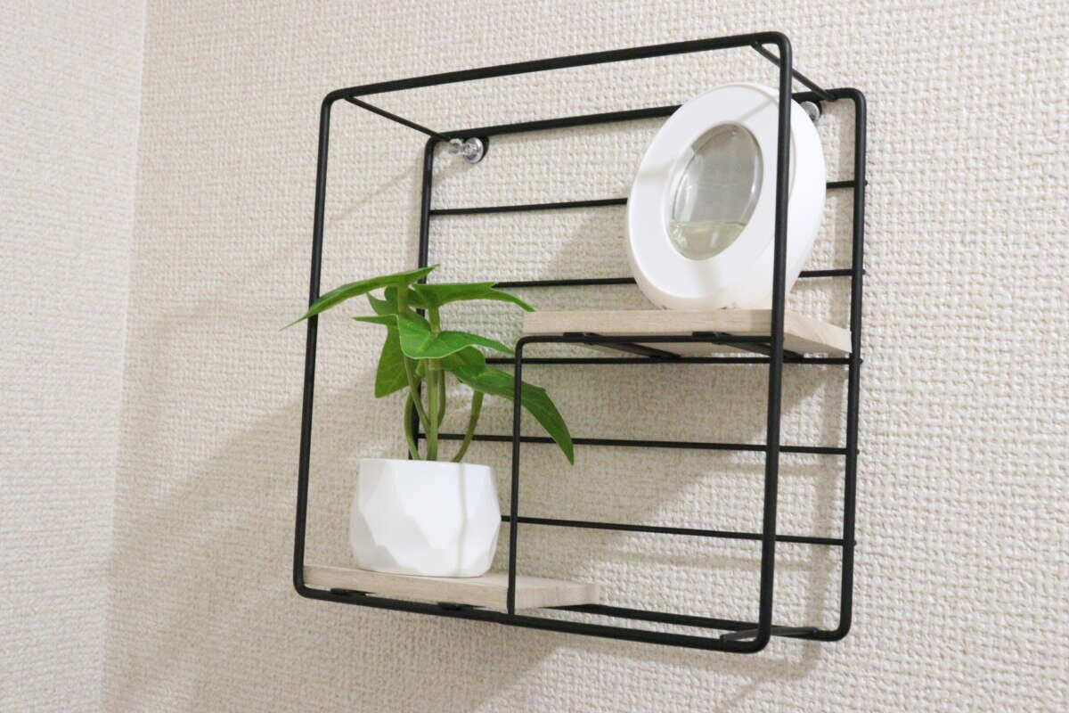 ダイソー　グリーンポット　ウォールシェルフ