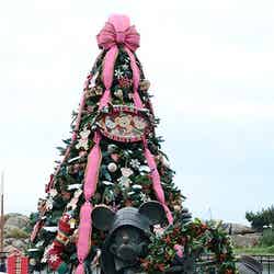 ディズニーシーのケープコッドに新登場したツリー／クリスマスデコレーションで幻想的に（C）Disney【モデルプレス】
