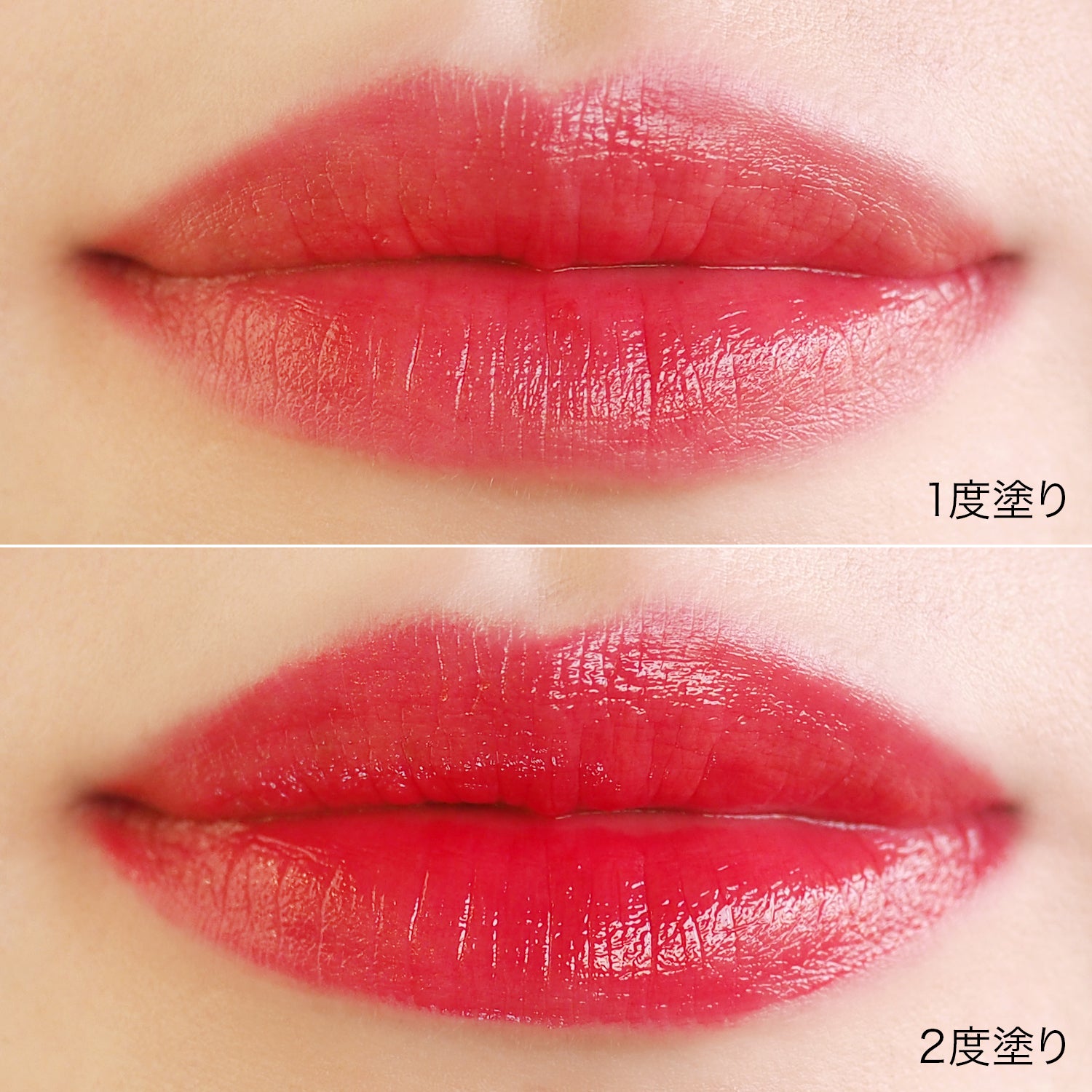 02 バラタレッド／画像提供：株式会社Direct Tech