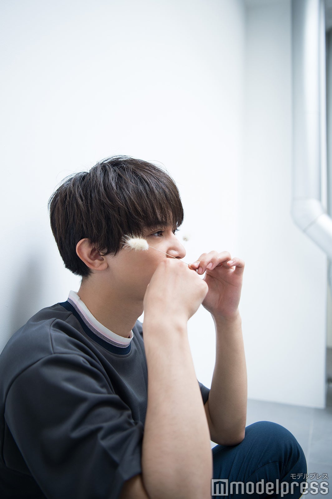 吉沢亮（C）モデルプレス