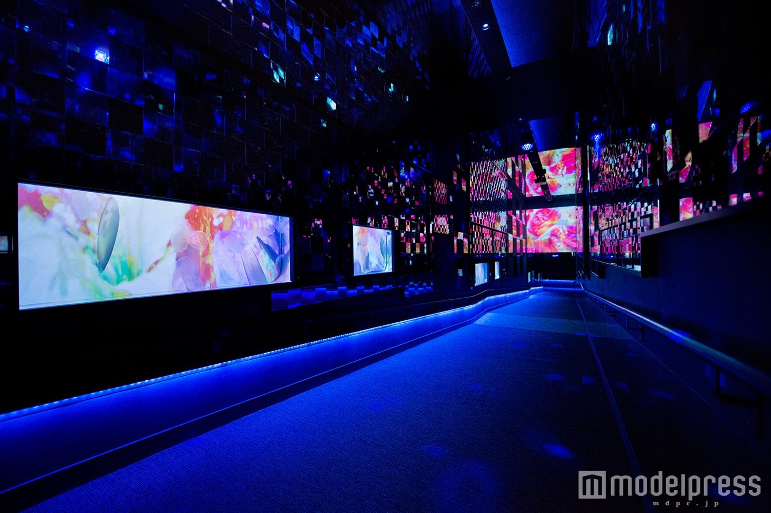 蜷川実花×すみだ水族館のコラボ再び 色彩豊かなクラゲ展示が幻想的