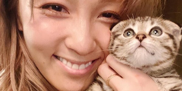 保護猫 迎える芸能人増加 Dream Ami ミキ亜生 木村花さんが繋いだ出会いも話題 モデルプレス