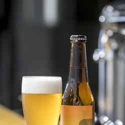 ぐるぐるグルメカーニバル in 立川/提供画像