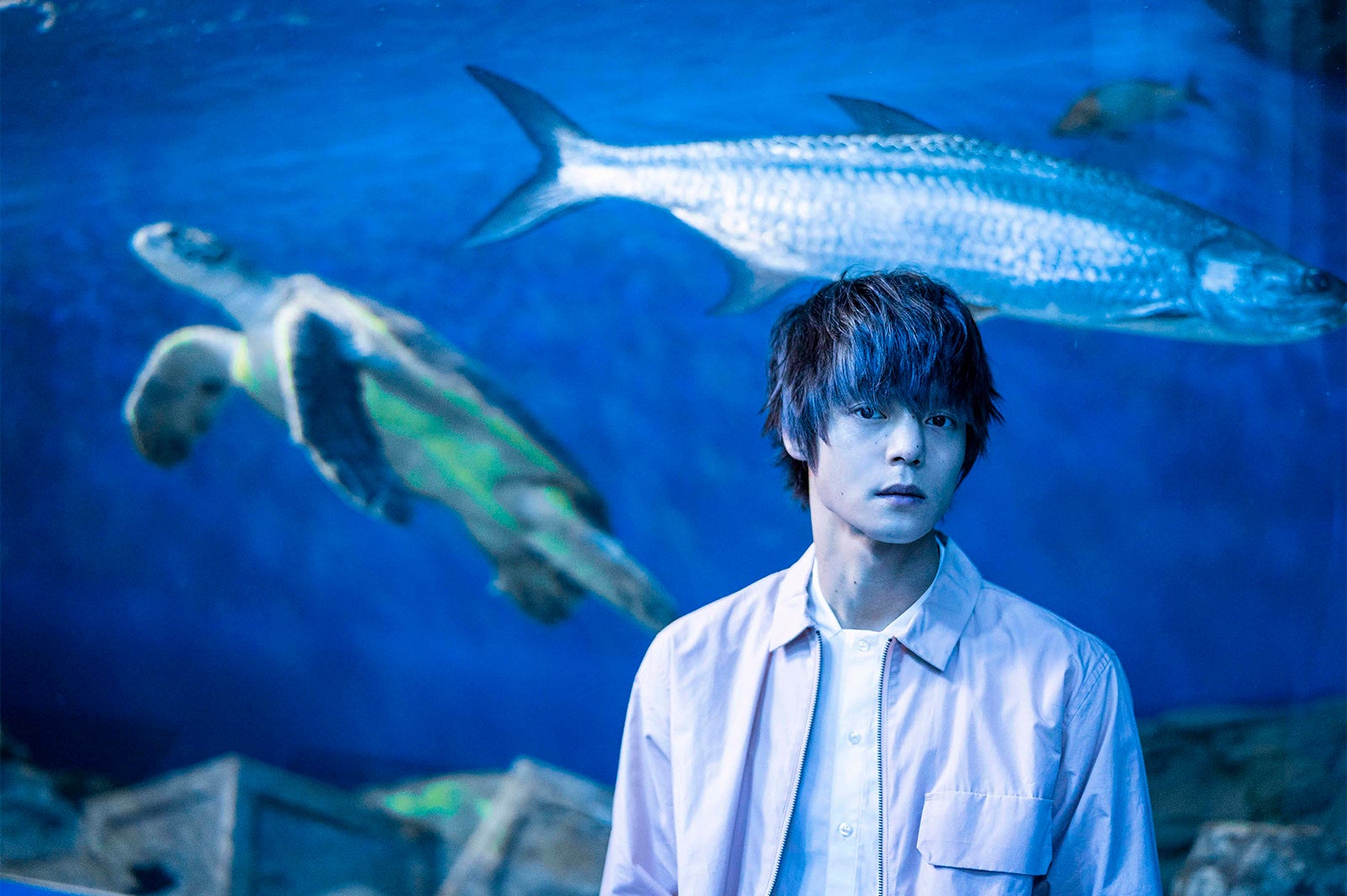 窪田正孝（提供画像） 