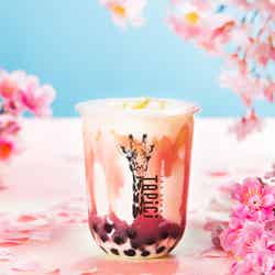 タピチ‐さくらミルク/画像提供:ドロキア・オラシイタ