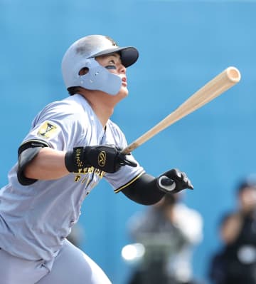 阪神 “空席”左翼争いは三つ巴の様相 前川か高寺か新加入浜田か 不動の中堅・近本＆右翼・森下は順調【担当記者総括・外野】