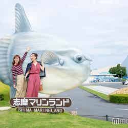 志摩マリンランド/施設入口の大きなマンボウのモニュメントも絶好の撮影スポット!