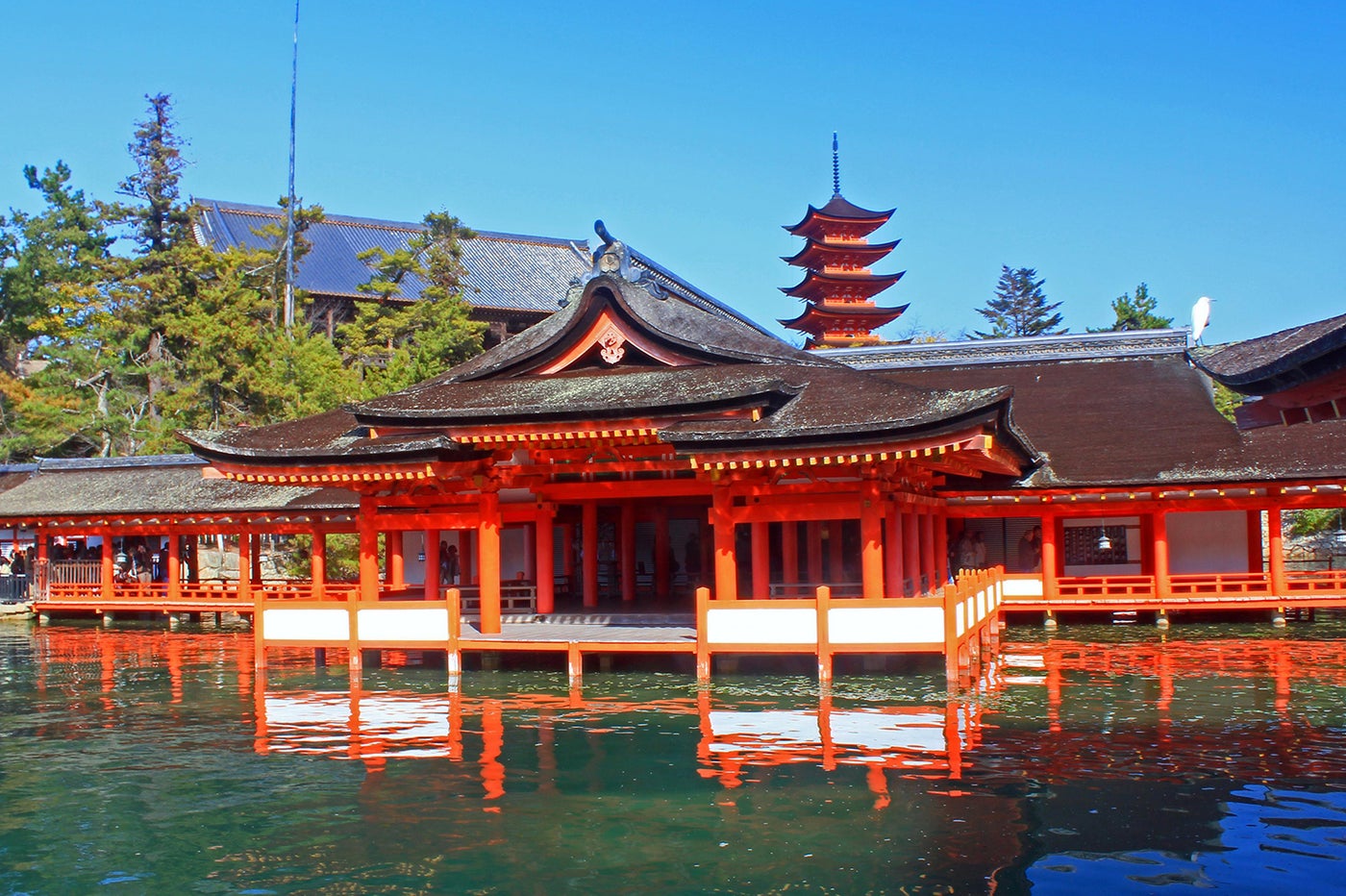 鮮やかな朱色の社殿／写真提供：広島県