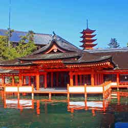 鮮やかな朱色の社殿／写真提供：広島県