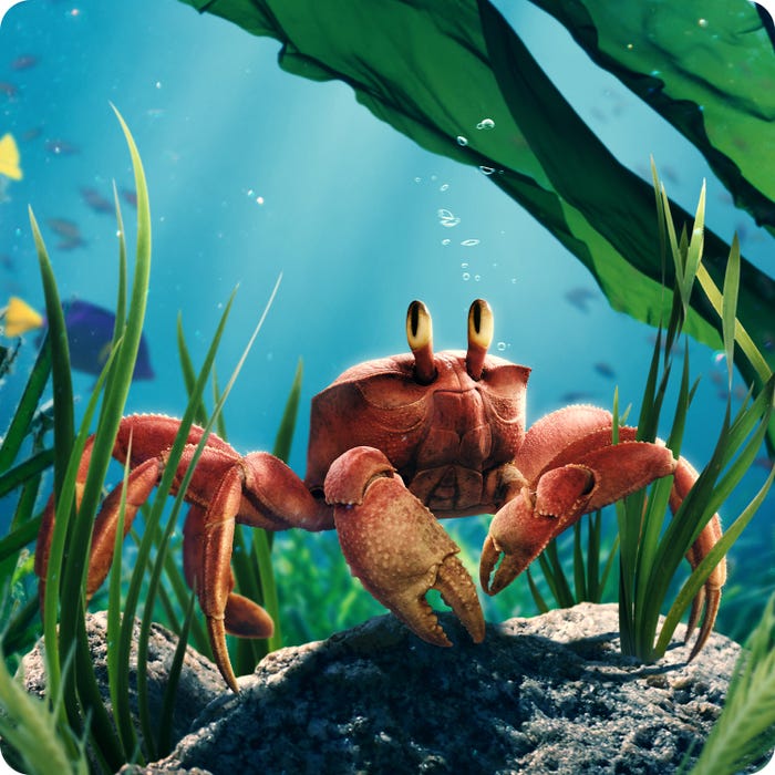 「リトル・マーメイド」 (C)2025 Disney