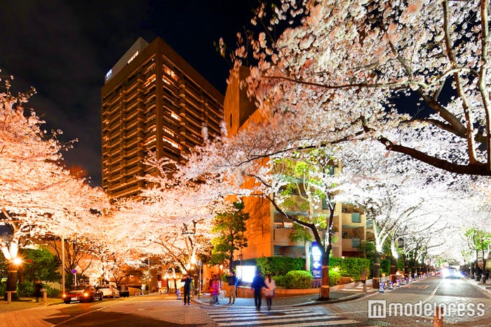 アークヒルズスペイン坂上、ライトアップ後は幻想的な雰囲気/画像提供:森ビル