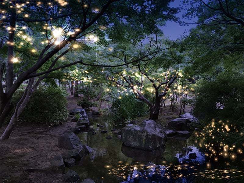 京の七夕／画像提供：京の七夕実行委員会