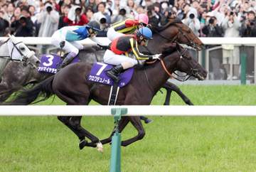 春古馬2冠クロワデュノールがトップキープ 2位は連覇狙うメイショウタバル 宝塚記念ファン投票第2回中間発表