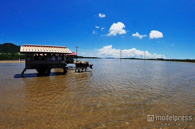 ユニークな観光が楽しめる沖縄の「由布島」って?