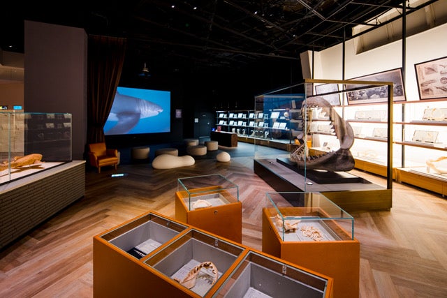 サメVR水槽のあるスペース[シャークダディズルーム] （提供画像）