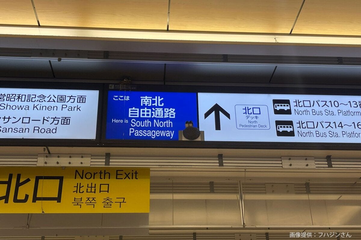 立川駅のツバメ
