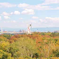 万博記念公園 紅葉まつり/提供画像