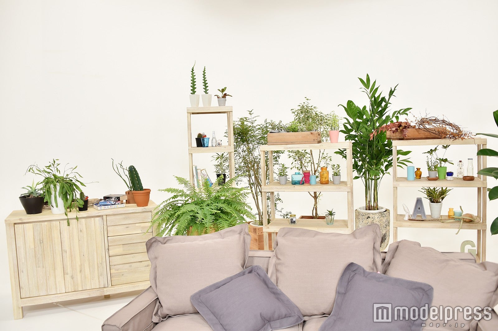 新セット（C）モデルプレス