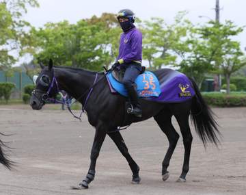 【エプソムC】トロヴァトーレ 仕上がり順調 鹿戸師は名手ルメールを信頼「乗り慣れた騎手なので」