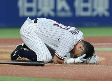 ヤクルト・中村悠平が緊急交代 バントの自打球が顔面直撃 担架がグラウンドへ 目隠しされて運ばれる まさかのアクシデントに神宮騒然