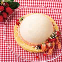 スイーツビュッフェ~苺づくしの幸せピクニック~/画像提供:リーガロイヤルホテル東京