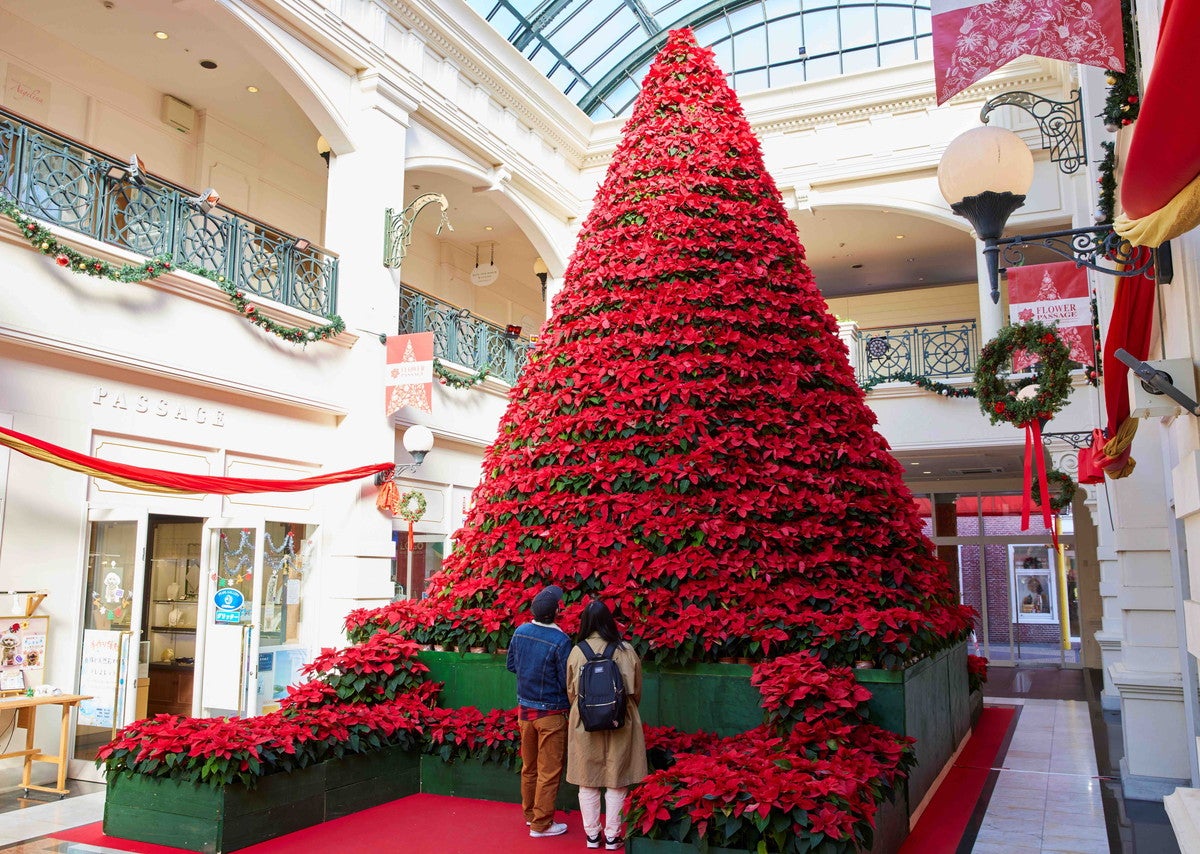 光の街のクリスマス／画像提供：ハウステンボス