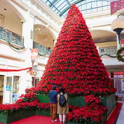 光の街のクリスマス/画像提供:ハウステンボス