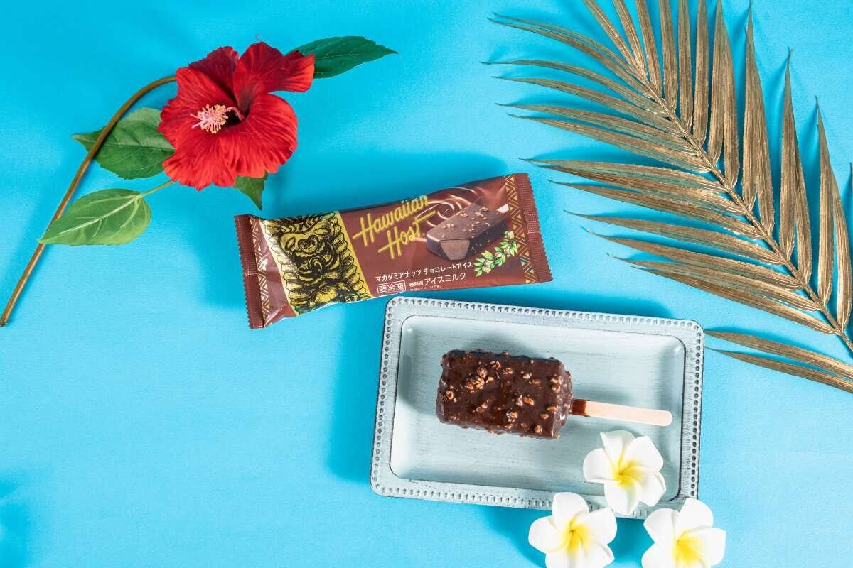 マカダミアナッツチョコレートアイスのパッケージと皿に置かれたアイスバー マカダミアナッツチョコレートアイスのパッケージと皿に置かれたアイスバー