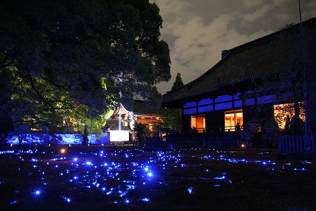 星空みたいな京都の“お寺ライトアップ”がキレイすぎる