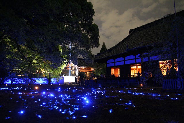星空みたいな京都の“お寺ライトアップ”がキレイすぎる