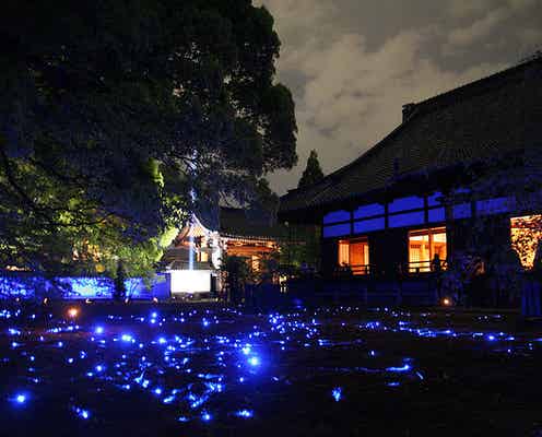 星空みたいな京都の“お寺ライトアップ”がキレイすぎる