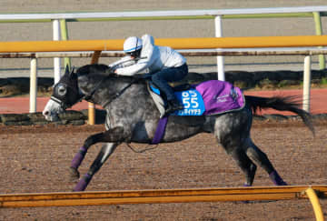 【阪神大賞典】アドマイヤテラ 1週間前追い切りで見せた抜群の瞬発力 友道師「変わりない、テラの動き。十分いい感じ」