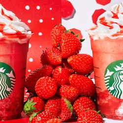 モデルプレス - スタバ「ゴロッとイチゴフラペチーノ」「シュワッとイチゴフラペチーノ」夏限定登場