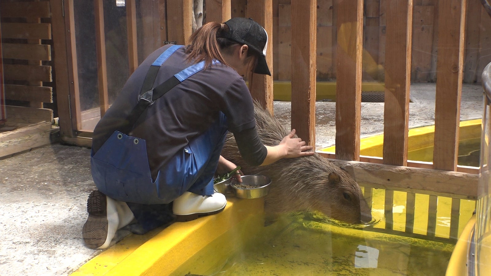 毛塚千穂さん（写真提供：関西テレビ）