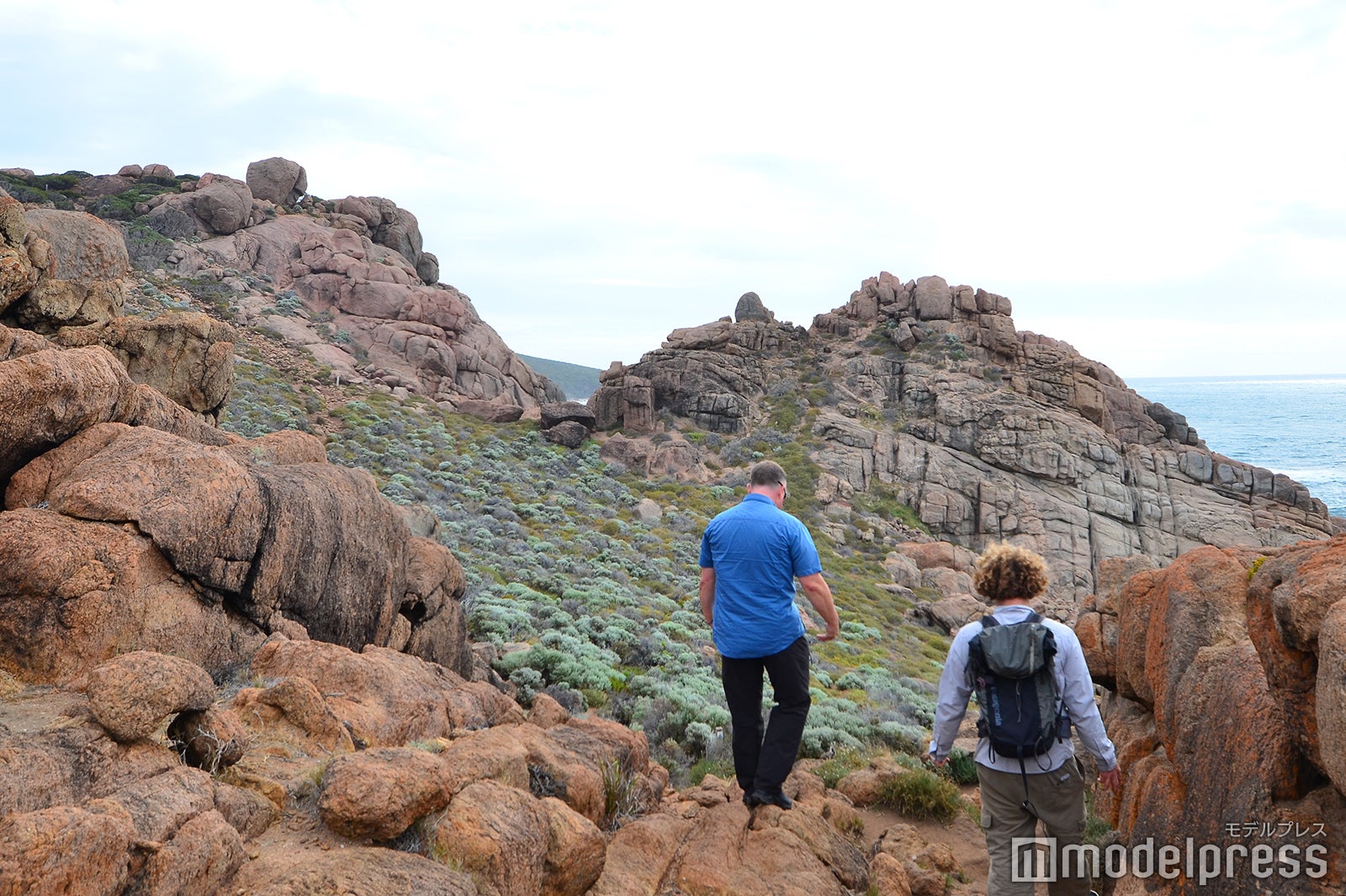 ケープ・トゥ・ケープ・トラック（C）モデルプレス