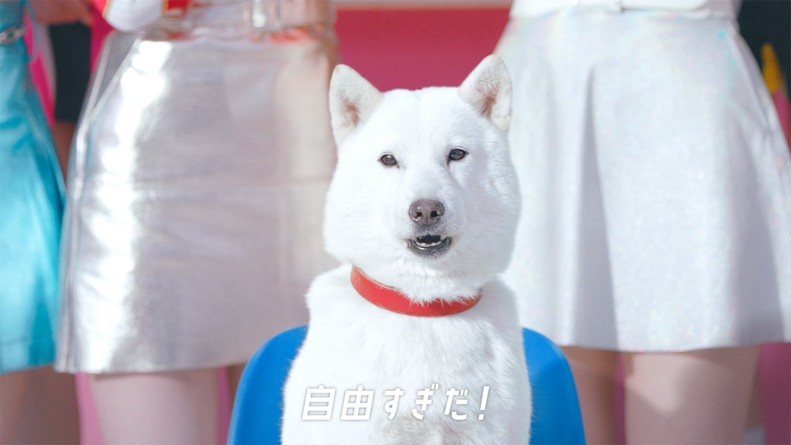 お父さん （提供写真）