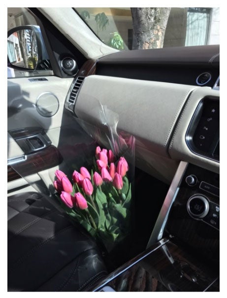 稲垣吾郎が購入したピンクのチューリップ／稲垣吾郎オフィシャルブログ（Ameba）