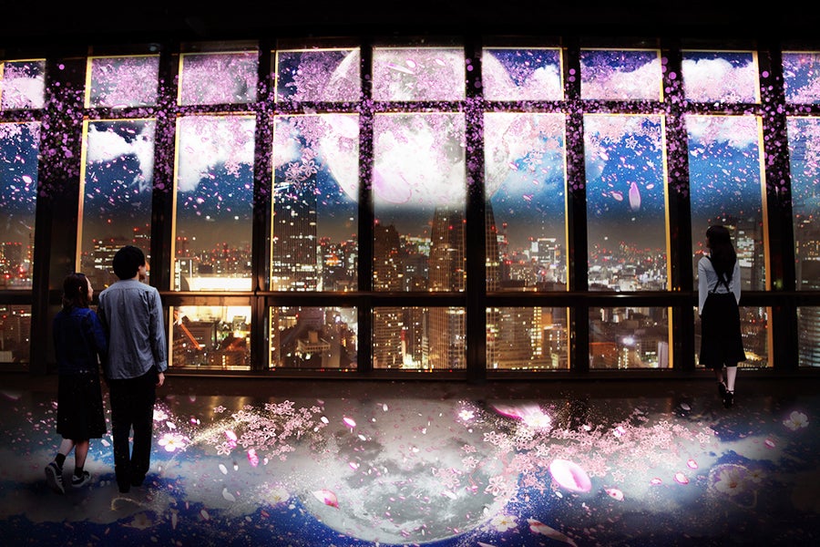 TOKYO TOWER CITY LIGHT FANTASIA～夜桜バージョン～