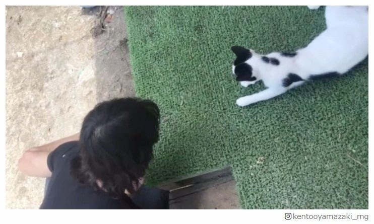 山崎賢人、猫との会話動画に「癒やされる」「鳴きマネ上手すぎる」の声