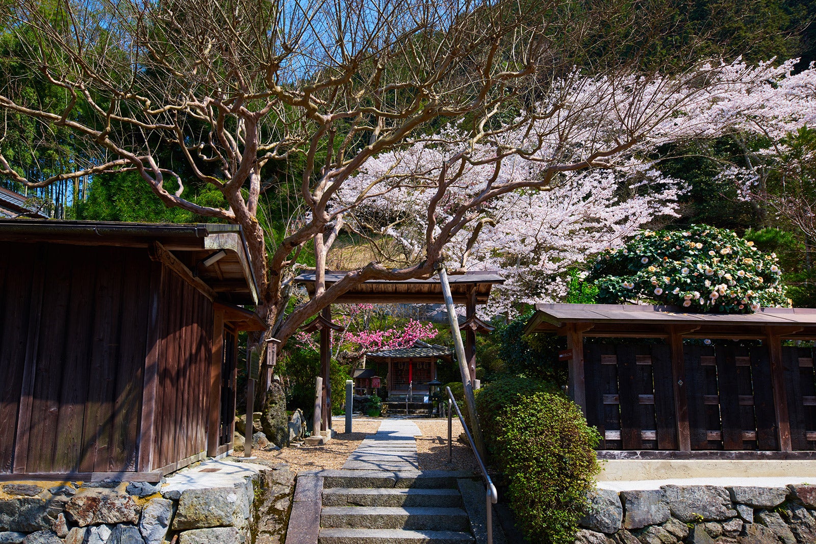 正寿院／画像提供：正寿院