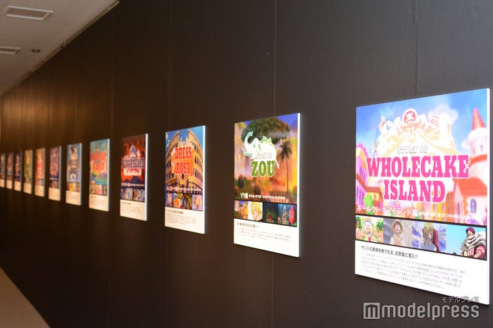 ようこそ！！ ワンガン夏祭り　THE ODAIBA 2019（C）ビューティーガール