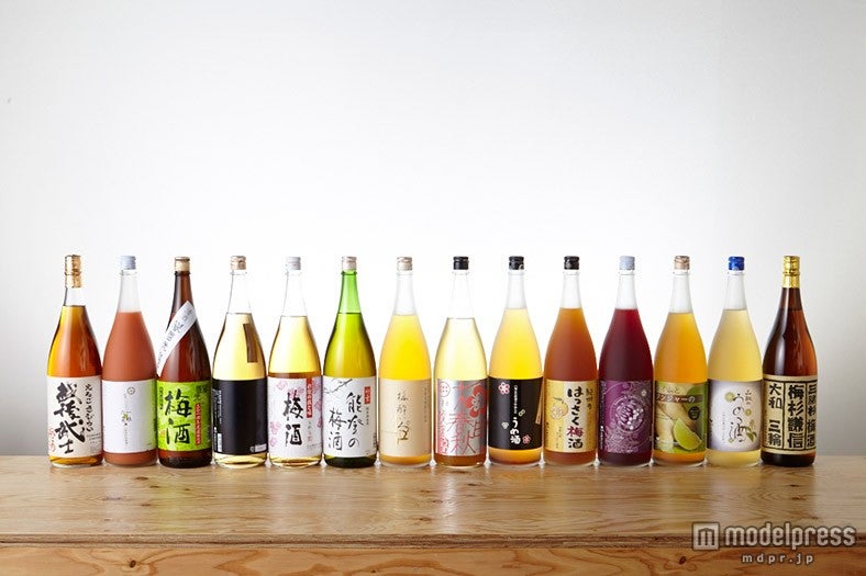 全国各地の個性的な梅酒や果実酒やリキュールが勢揃い