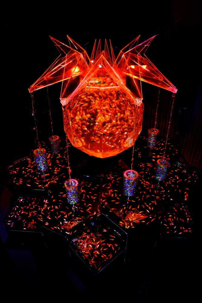 超・花魁／画像提供：アートアクアリウム展大阪実行委員会