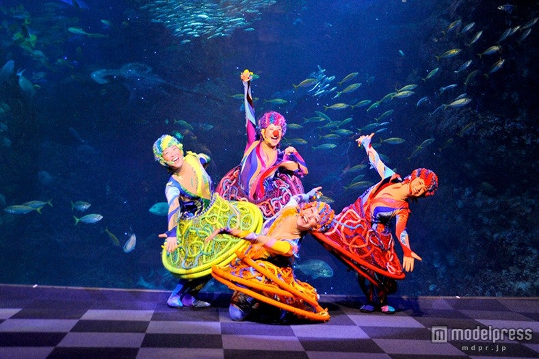 アクアンのクリスマスコンサート♪／画像提供：新江ノ島水族館