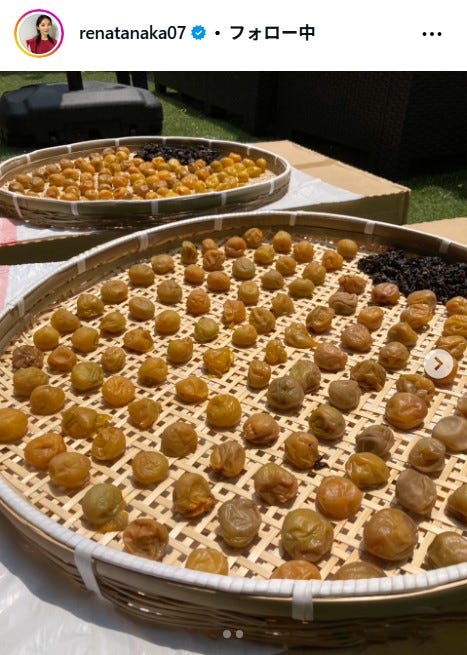 田中麗奈Instagramより