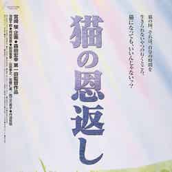 猫の恩返し（C）2002　猫乃手堂・Studio　Ghibli・NDHMT