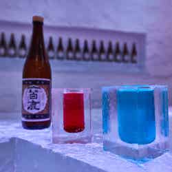 アイスバー/画像提供:I-PRO